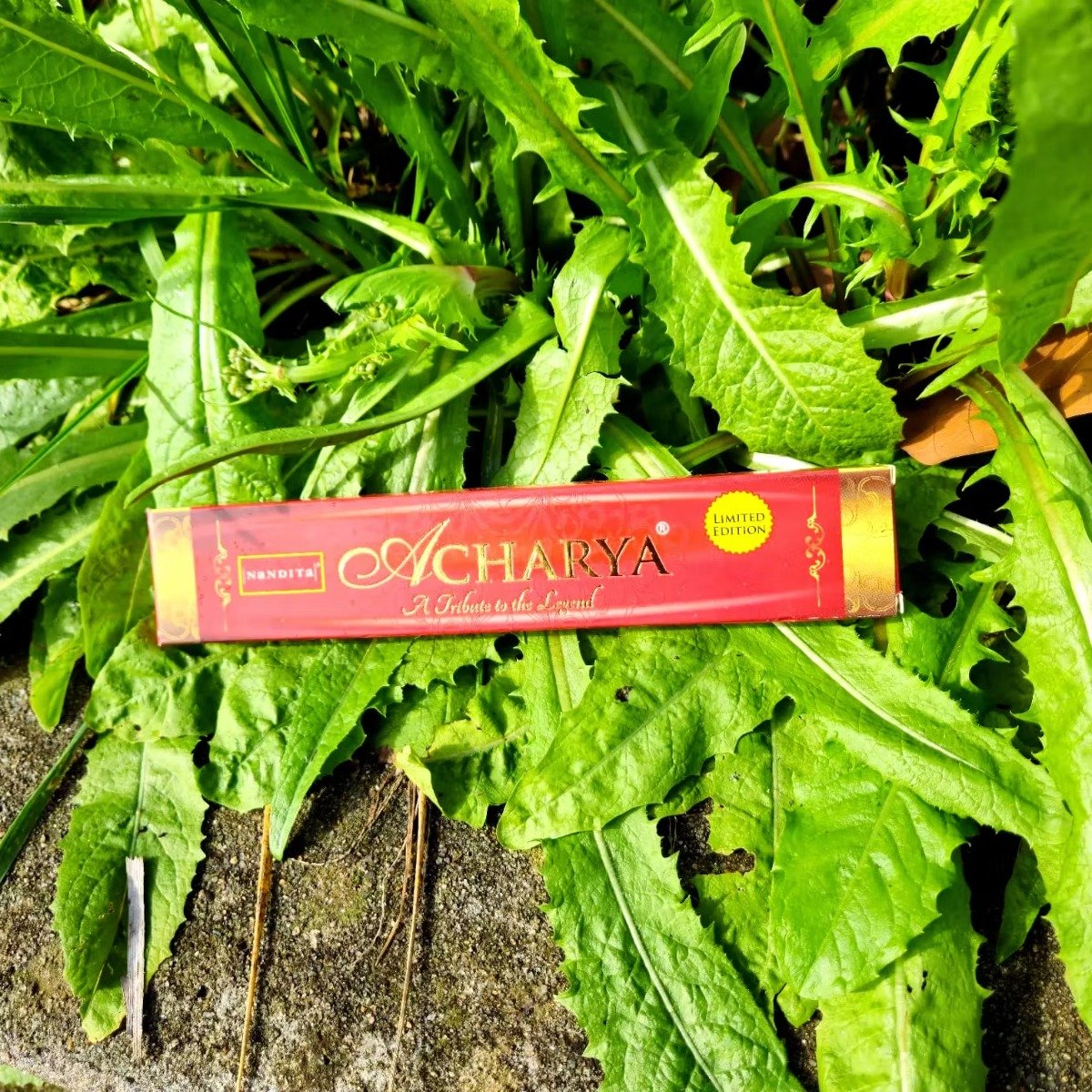 Incenso Nandita Acharya