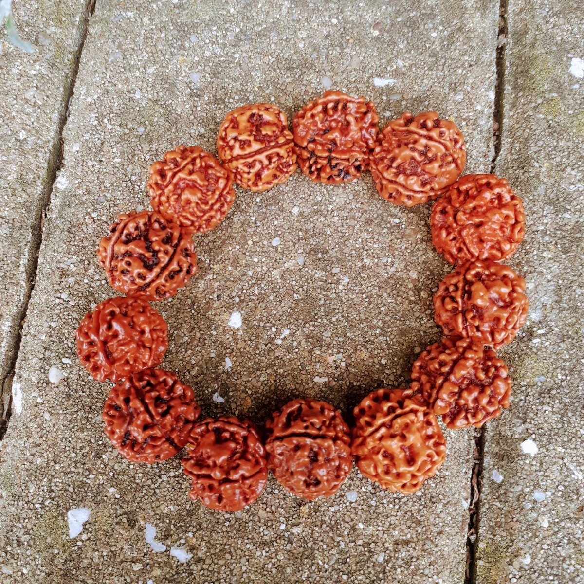 Pulseira Rudraksha Simples