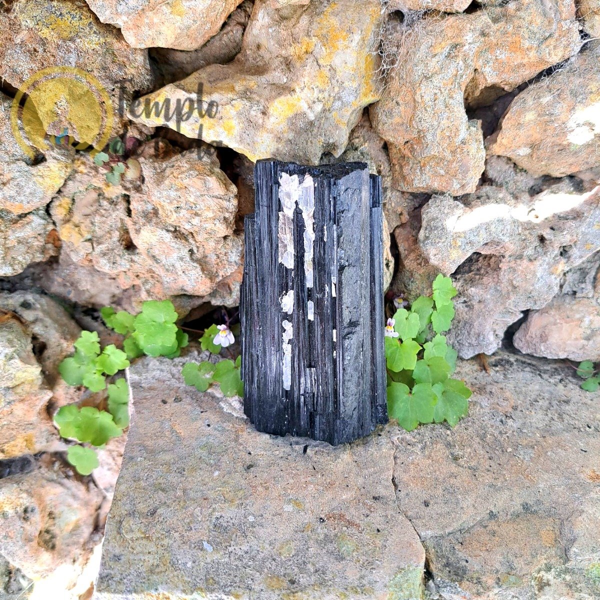 Turmalina Negra Radial