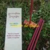 Chenrezig Buda da compaixão Incenso Tibetano