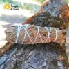 Pine Torch 10 cm - Image 2