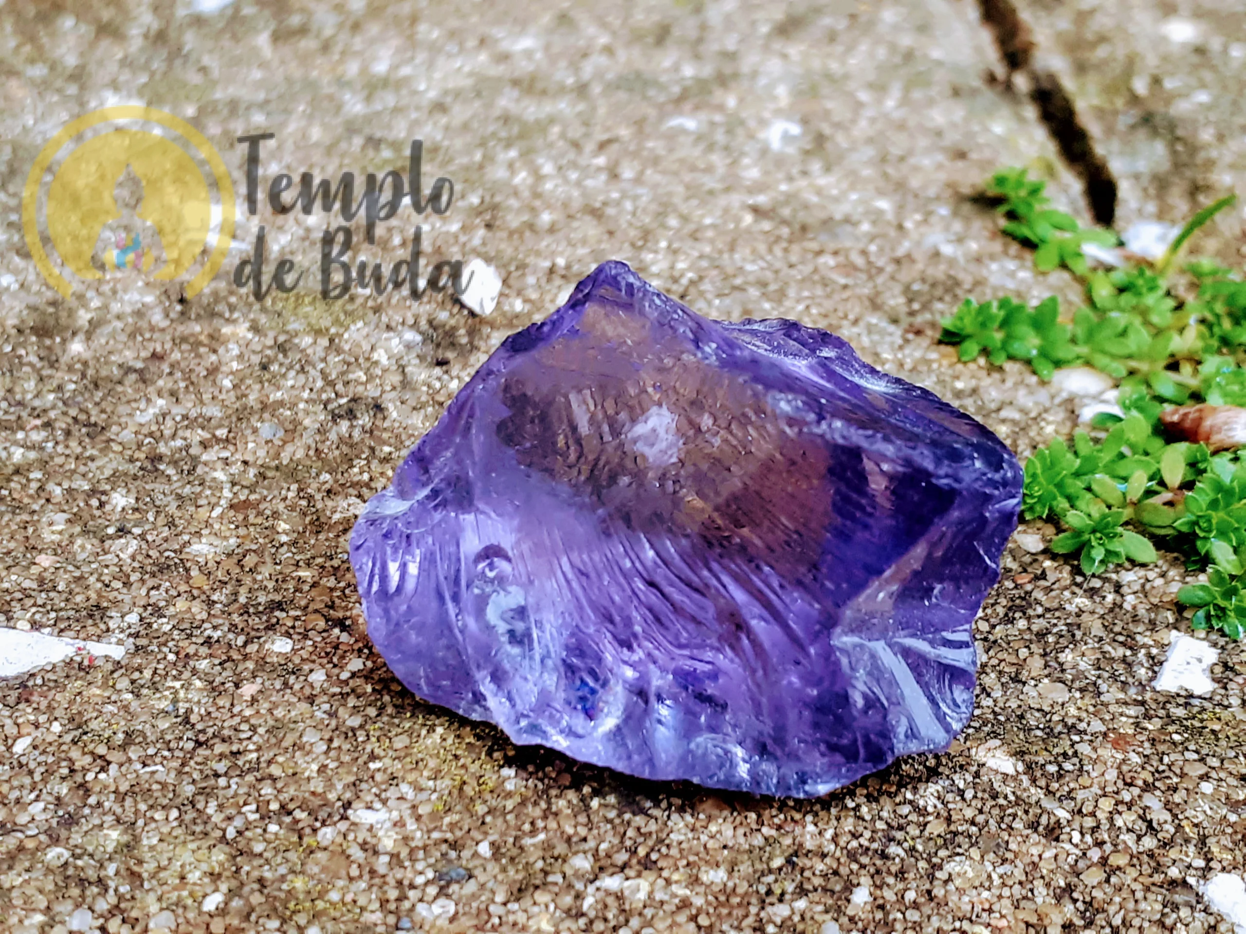 Andara Purpura Monoatómico Roxo