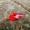 Andara Divino Monoatómico Vermelho - Image 2