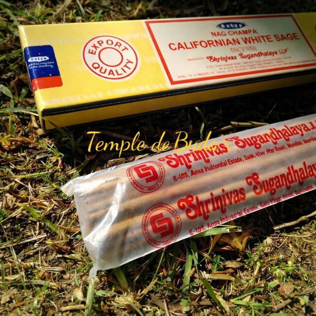 Incenso Satya Californian White Sage