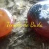 Kit Reiki Cornalina Redondo