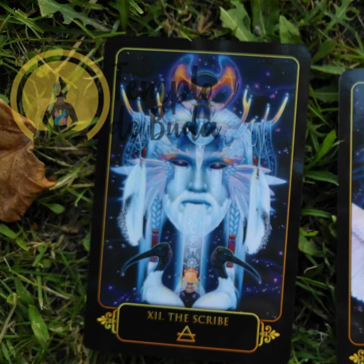 Kit Tarot Dreams of Gaia de Ravynne Phelan em Inglês