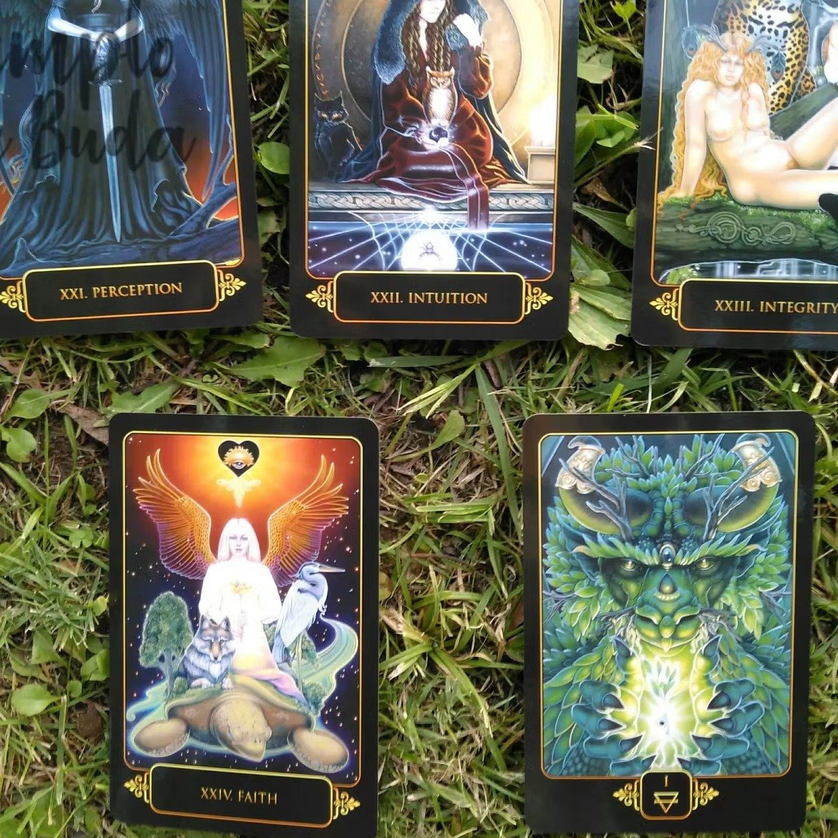 Kit Tarot Dreams of Gaia de Ravynne Phelan em Inglês