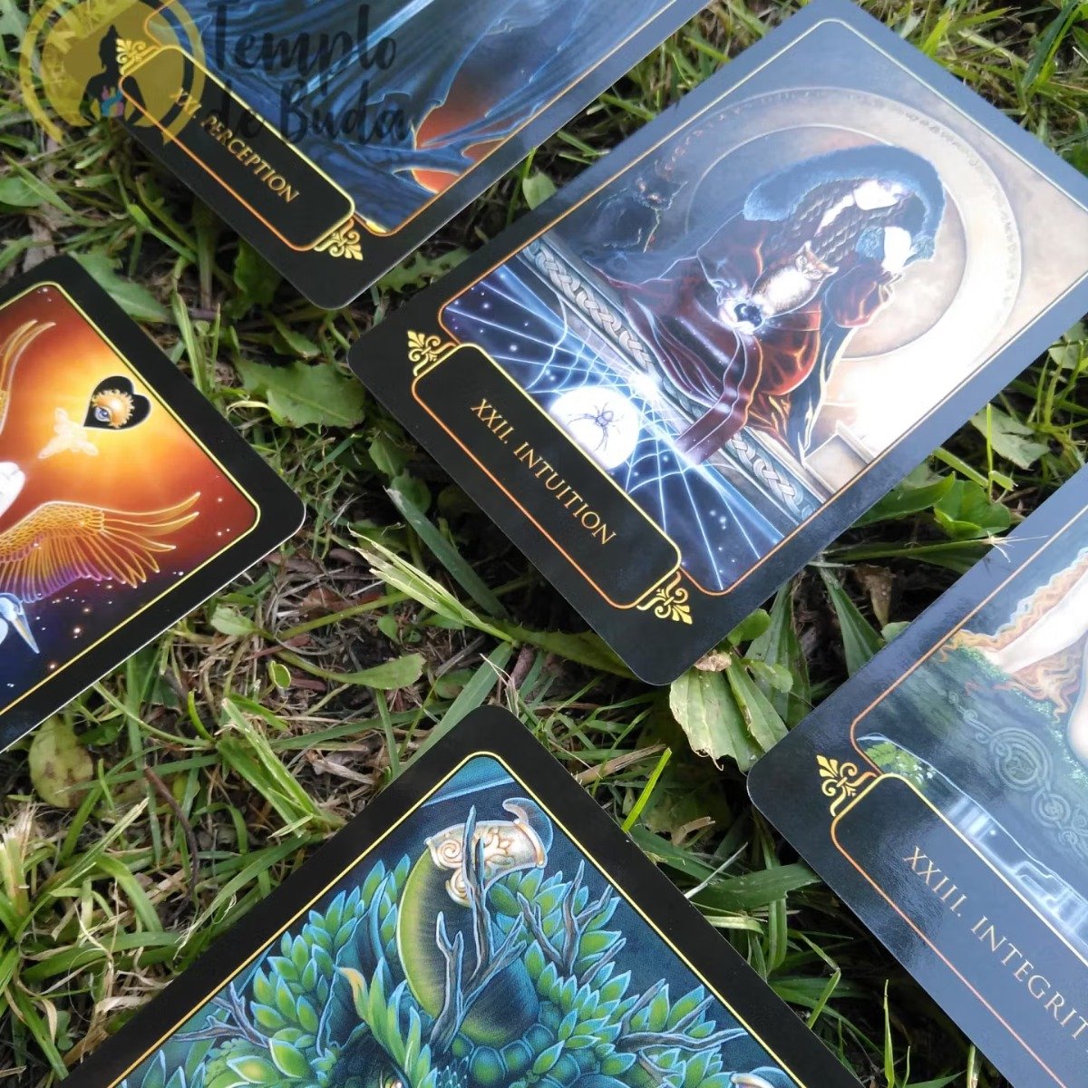 Kit Tarot Dreams of Gaia de Ravynne Phelan em Inglês