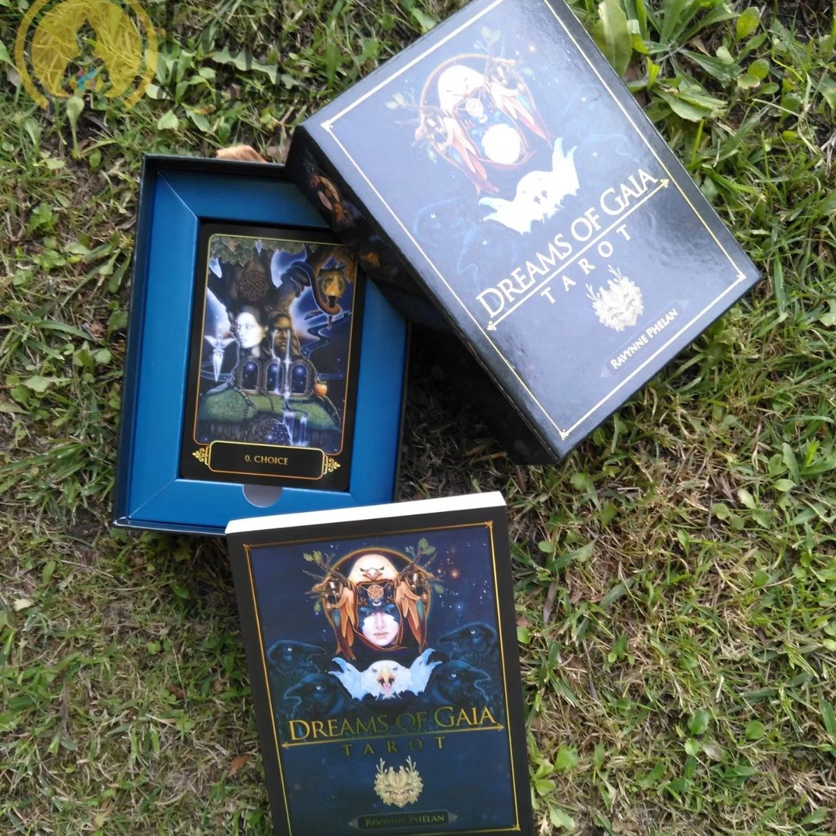 Kit Tarot Dreams of Gaia de Ravynne Phelan em Inglês