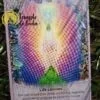 Oracle Crystal Angels of Doreen Virtue auf Englisch