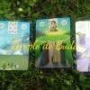 Il Pagano Oracolo Lenormand