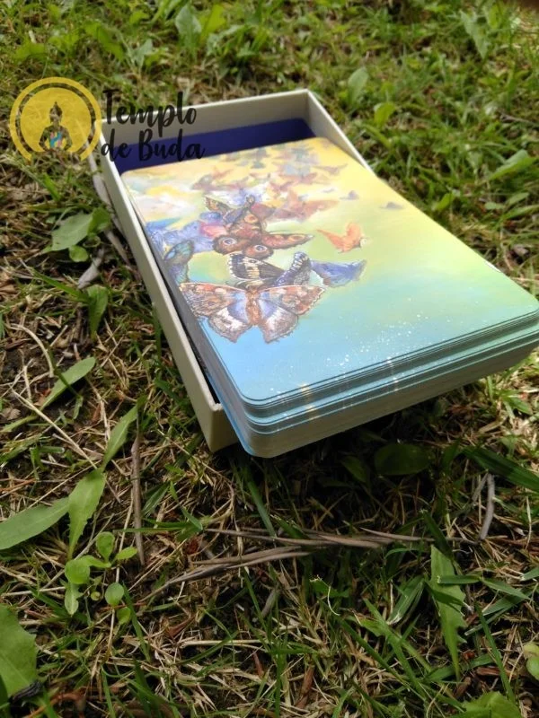 Oracle Whispers of Nature di Angela Hartfield in inglese