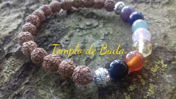 Pulseira Rudraksha com