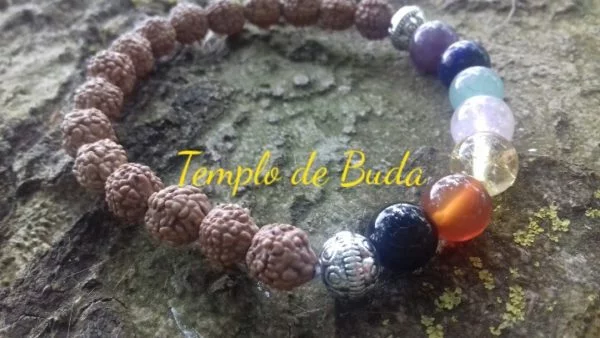 Pulseira Rudraksha com