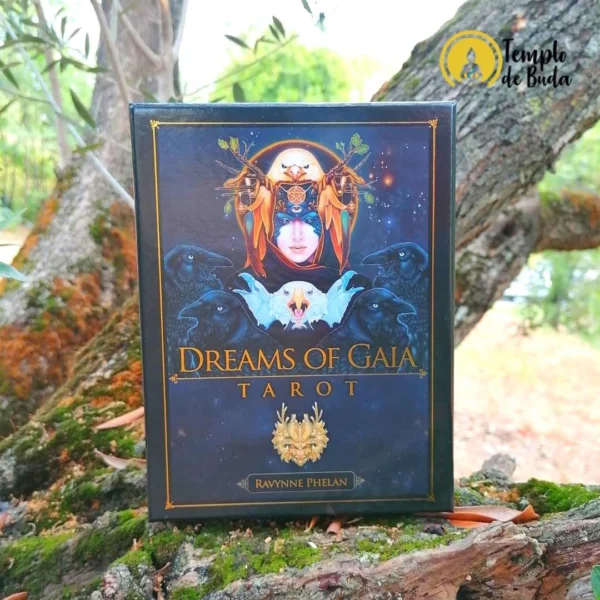 Tarot Dreams of Gaia de Ravynne Phelan en Anglais – Image 3