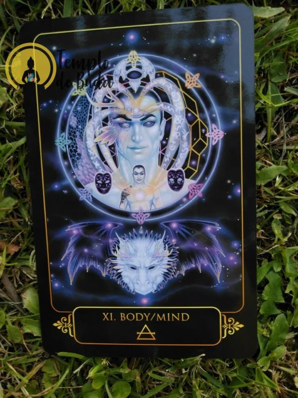 Tarot Dreams of Gaia de Ravynne Phelan en Anglais