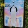 Tarot Dreams of Gaia de Ravynne Phelan en Anglais