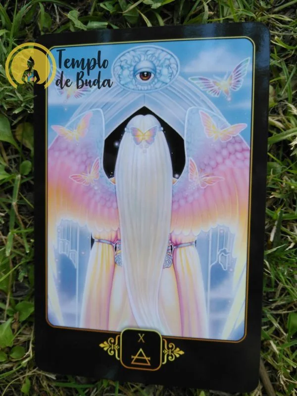 Tarot Dreams of Gaia de Ravynne Phelan en Anglais