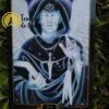 Tarot Dreams of Gaia de Ravynne Phelan en Anglais