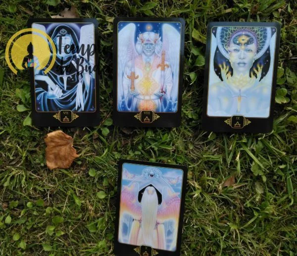 Tarot Dreams of Gaia de Ravynne Phelan en Anglais