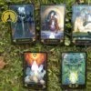 Tarot Dreams of Gaia de Ravynne Phelan en Anglais