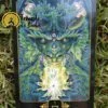 Tarot Dreams of Gaia de Ravynne Phelan en Anglais