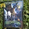 Tarot Dreams of Gaia de Ravynne Phelan en Anglais