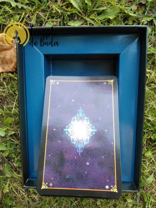 Tarot Dreams of Gaia de Ravynne Phelan en Anglais