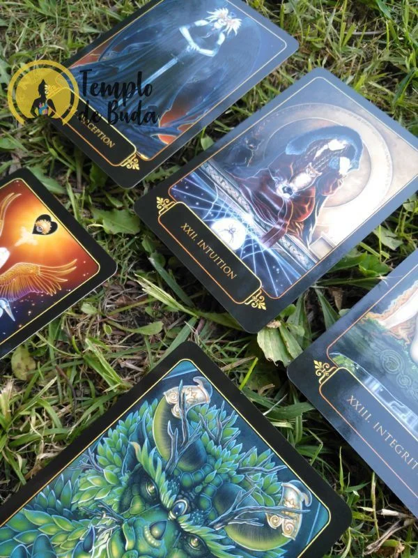 Tarot Dreams of Gaia de Ravynne Phelan en Anglais