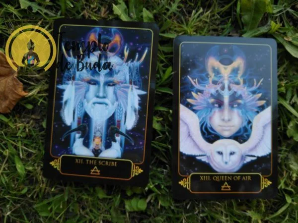 Tarot Dreams of Gaia de Ravynne Phelan en Anglais