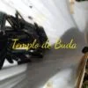 Tourmaline Vert Brut Moyenne 1 GR