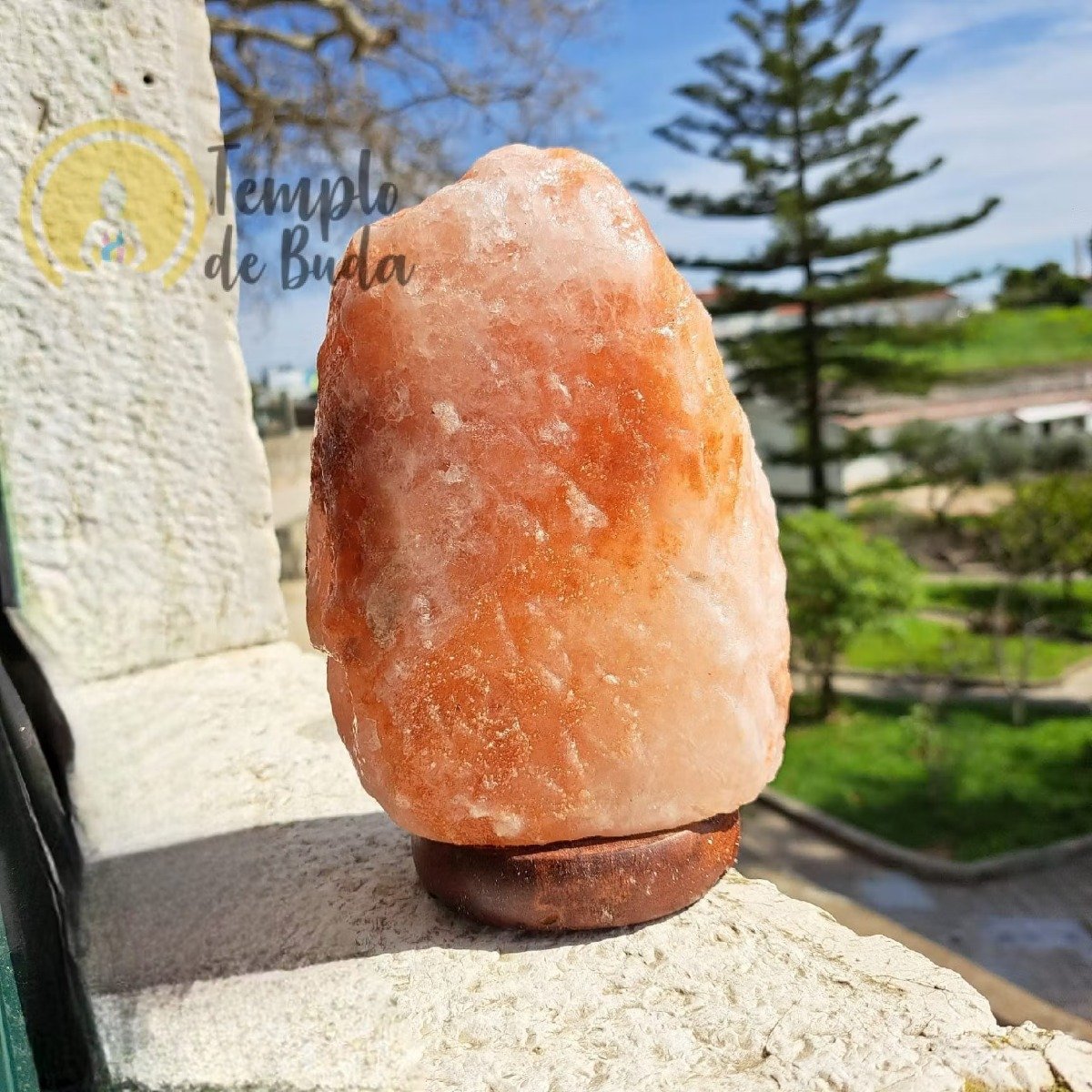 Candeeiro de Sal Himalaia