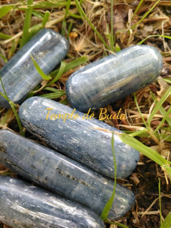 Blue Cianita roulé dans la barre