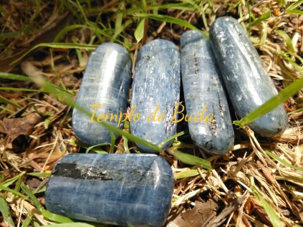 Blue Cianita roulé dans la barre