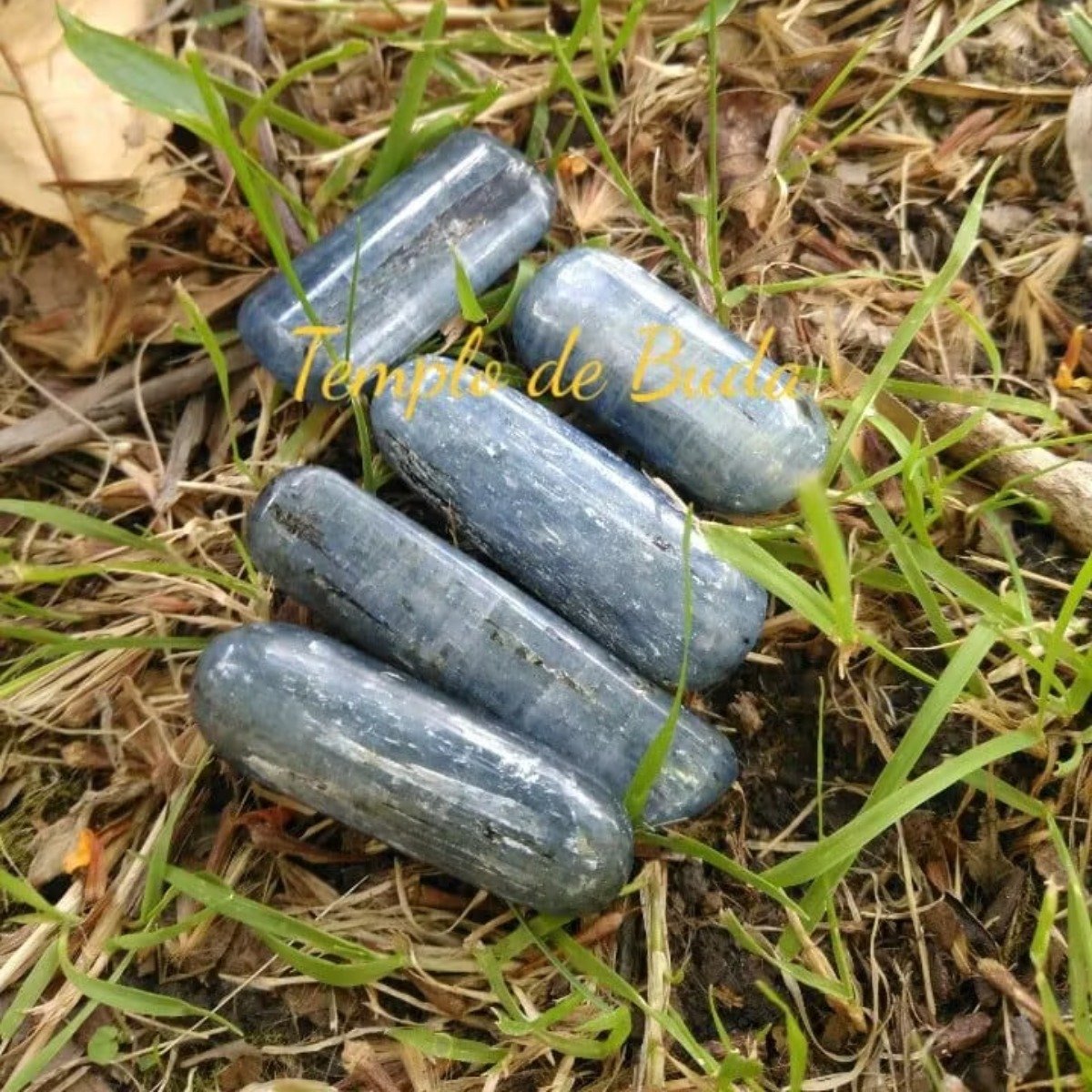 Cianite Azul Rolada Barra