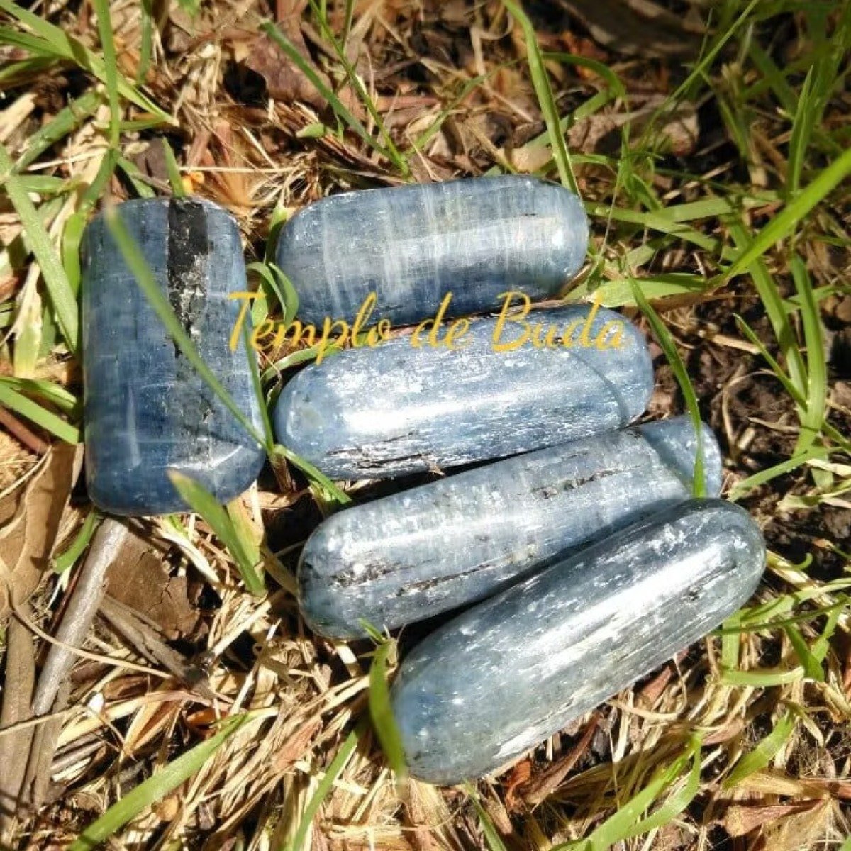 Cianite Azul Rolada Barra