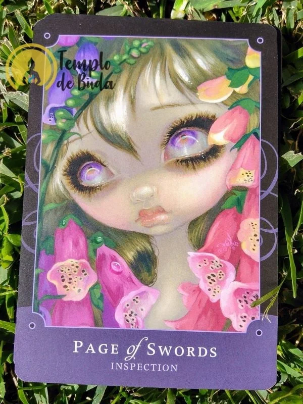 Criaturas Lindas de J.R.Rivera em Inglês - Image 13