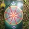 Tarot Millennium Thoth de Renata Lechner em Inglês