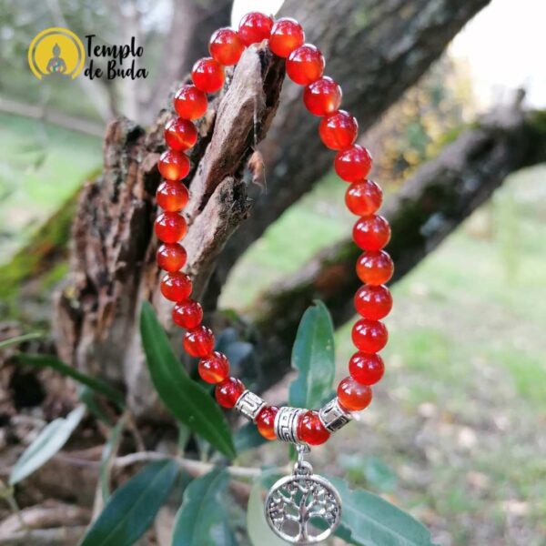 Bracelet Cornaline avec arbre de vie 6mm – Image 4