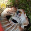 Pêndulo Ônix Pirâmide com Ponta - Image 2