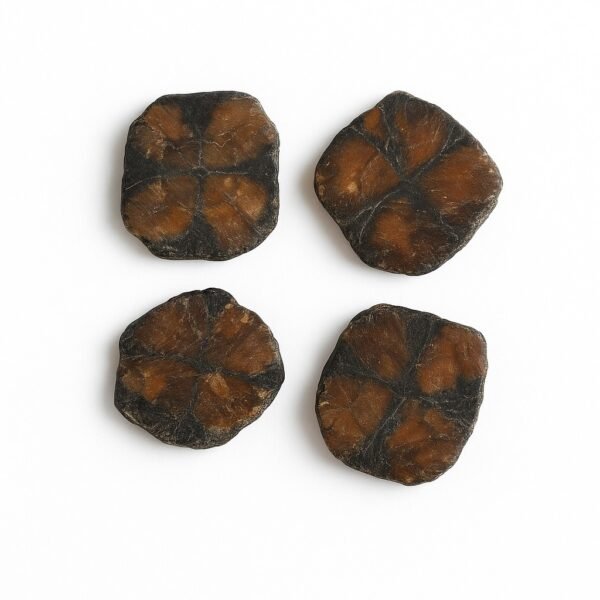 Quiastolite Pedra Cruz