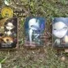 The Vampires of Lucy Cavendish Óraculo in English