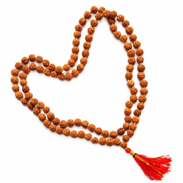 JapaMala Rudraksha Natural
