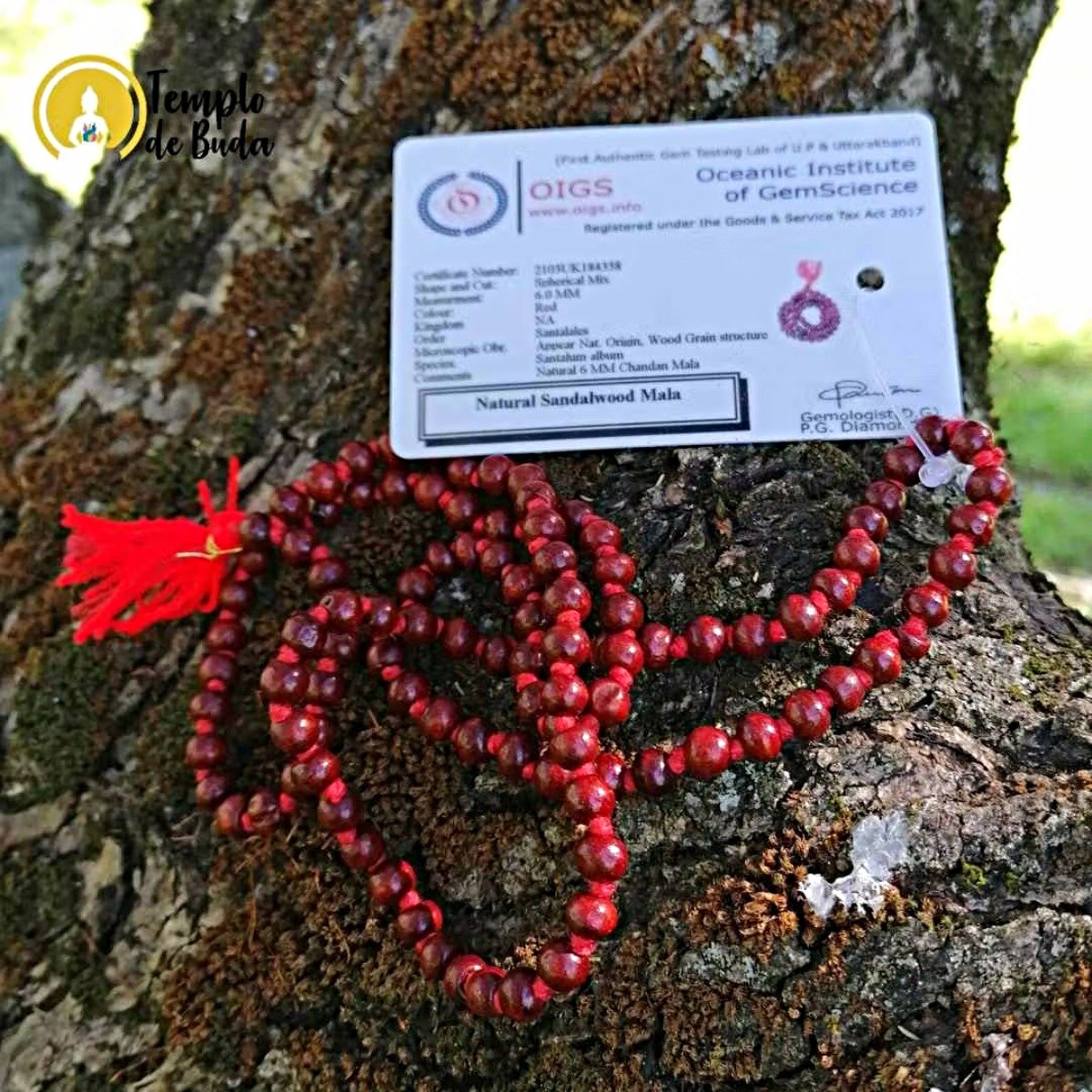 JapaMala Sandalo Vermelho Natural