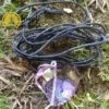 Andara Pendente Coração Violeta