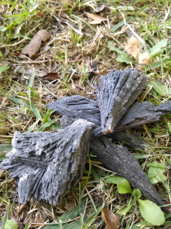 Schwarzer Cyanit (Hexenbesen)