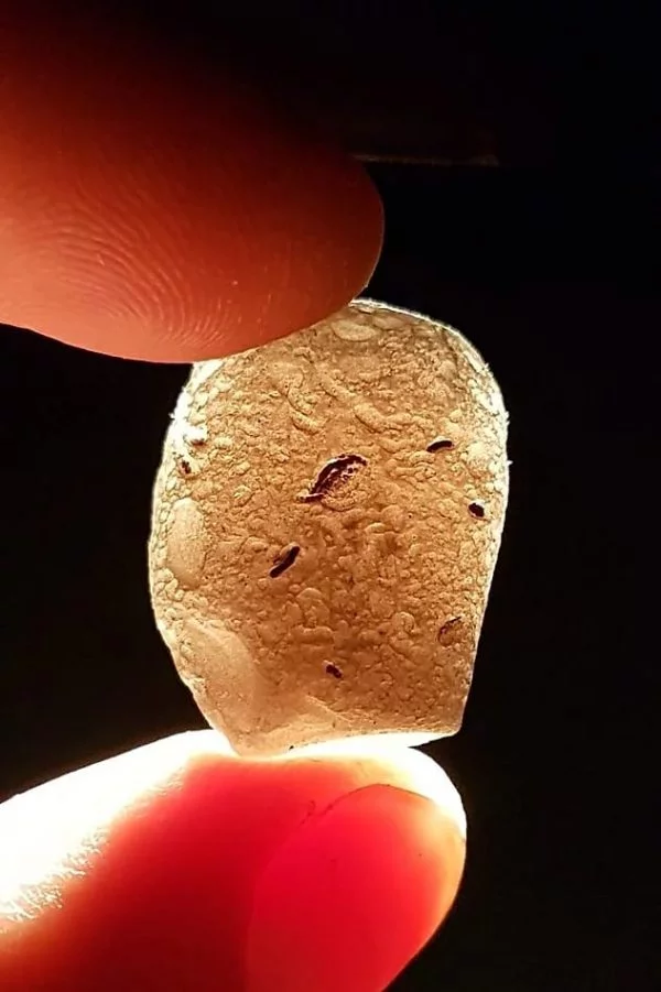 Cintamani (Saffordite) 5,9Gr