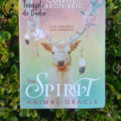 Colette Baron-Reid's Animal Spirit Oracle in English