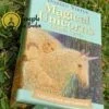 Oráculo dos Unicórnios Mágicos de Doreen Virtue em Inglês - immagine 11