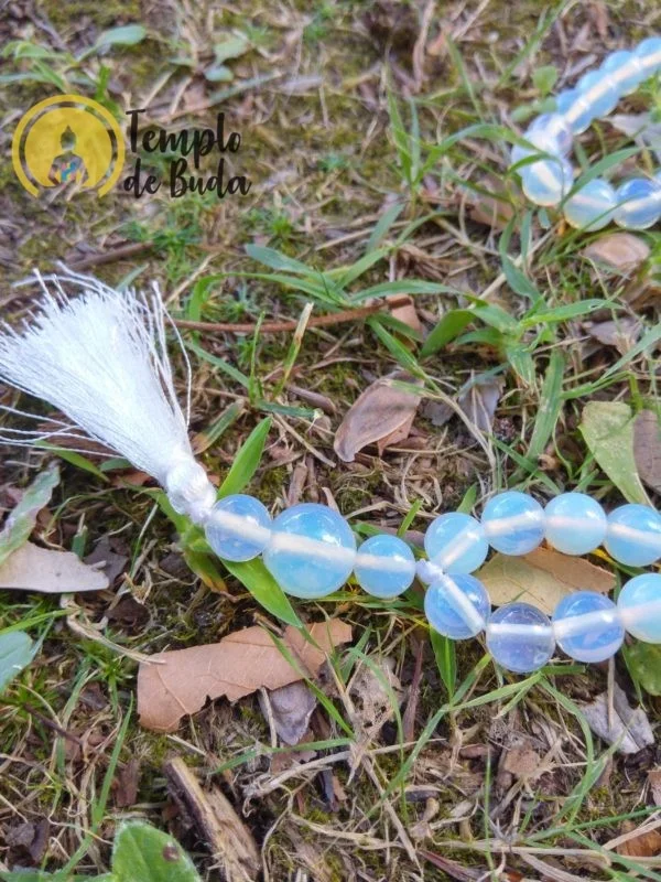 Japa Mala Opalina